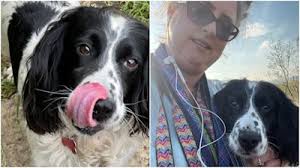 Heartbroken woman gives up beloved dog after discovering it had been stolen  seven years earlier