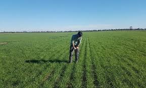 La bandera argentina 25 de junio día del psicólogo social 27 de junio día del biólogo 29 de junio día internacional del diseñador industrial tercer domingo de junio día. La Agronomia Celebra Su Dia Abriendo Nuevas Fronteras De Informacion El Caso De Agronomos En Accion Agrofy News