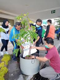 Sawo bangoan buah eksotis dari blora. Biro Kesra Ntb Twitter àªªàª° Tanam Buah Dalam Pot Tabulampot Asisten Pemerintahan Dan Kesra Sekda Prov Ntb Menanam Pohon Lengkeng Dan Karo Kesra Setda Prov Ntb Menanam Pohon Belimbing Ntbgemilang Ntbamandanberkah Ntbasridanlestari Https T Co