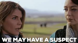 Plum Pudding Murder (Hannah Swensen, #12) by Joanne Fluke