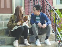 Rated pg • 108 minutes. A Dog S Journey A Dog S Journey Review The Movie Is High On Emotions And Will Tug At Your Heartstrings The Economic Times