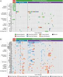 Environment and genetics in lung cancer etiology (eagle) study: Well Differentiated Papillary Mesothelioma Of The Peritoneum Is Genetically Distinct From Malignant Mesothelioma Biorxiv