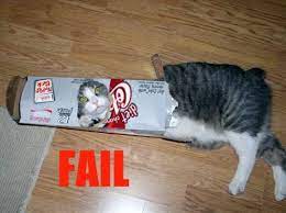 Pin By Eddie Lebeau On Think On This Funny Cat Fails Cat Fails Cats