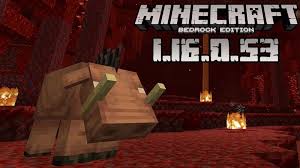 Pocket edition servers are in early development stage and may . Download Minecraft Pocket Edition 1 16 0 53 Nether Update Beta Version