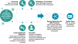 There are many well known insurance companies, such as aflac and state farm. Hmos An Emerging Competitive Front In A Post Covid World Healthscape Advisors