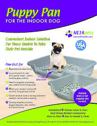 That's why we don't sell them, to display in the store, as well as free materials for their customers about how to adopt a dog. Amazon Com Puppygohere Puppygohere Indoor Puppy Litter Box Little Boy Blue Color Size Large 24 X 20 X 5 Opening Is On The 24 Side Review Size Diagram Prior To Ordering