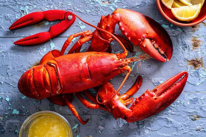 How to Cook Lobster