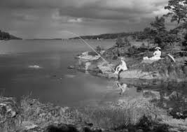 Wild strawberries movie free online. Wild Strawberries 1957 By Ingmar Bergman Original Title Smultronstallet Stranger On The 3rd Floor
