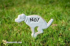 While this recipe works well for cats and wasps, it can also deter snakes. Repelling Dogs And Cats From The Garden Repel Animals From The Garden