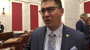 WVa Senate forms committee dedicated to child welfare issues