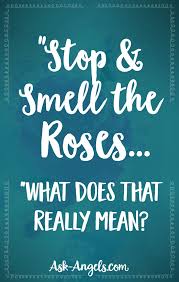 Stop And Smell The Roses Understanding 4 Crucial Symbols Spiritual Guidance Spiritual Meaning Old Quotes