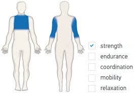 Muscles of the upper limb this muscle is located on the upper portion of the back anatomy, underneath the trapezius. St Series Saysu Outdoor Fitness Equipment