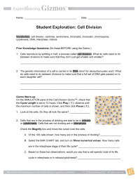 Use your summaries and the gizmo to answer the following questions: Cell Division Explore Learning