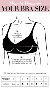 Now, how to measure your bra size at home: How To Measure Perfect Bra Size At Home Off 71 Www Daralnahda Com