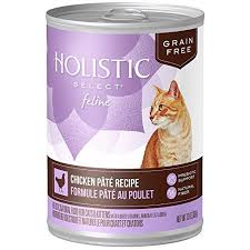 Cat Food Wet Pate Holistic Select Natural Wet Grain Free Canned Cat Food Chicken Pa Ta C Recipe 13 Ounce C Canned Cat Food Cat Nutrition Grain Free Cat Food