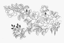 Download svg large png 2400px small png 300px 25% off all shutterstock plans with code bloom25. Rosa Multiflora Drawing Flower Sketch White Flower Sketch Png Transparent Png Kindpng