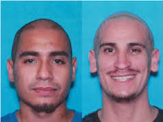 Deputies issue warrants for duo wanted in burglary, hit and run