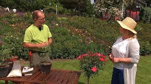 Erika, wir denken ganz fest an dich, von wo auch. Mdr Garten Mdr De