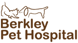 Berkeley heights animal hospital has been caring for your sick pets since 1976. Veterinarian In North Hollywood Ca Berkley Pet Hospital