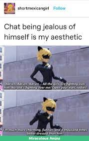 Pin By Regan Robinson On Miraculous Ladybug Beieeeccchhes Miraculous Ladybug Memes Miraculous Ladybug Fanfiction Miraculous Ladybug Funny