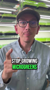 How to Do Microgreen Invoices Ti Resturants