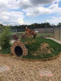 10 Diy Dog Houses So Amazing You Ll Wish You Lived In Them Knockoffdecor Com Dog Playground Dog Backyard Outdoor Dog