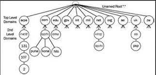 Struktur database dns ini berbentuk hierarki atau juga pohon yang mempunyai beberapa cabang. Pengertian Dns Struktur Hirarki Fungsi Cara Kerja Dampak