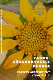 Yacon Susskartoffel Pfanne Rezept Mit Vitamin B12 Vitamin B12 Vitamine Susskartoffel Pfanne