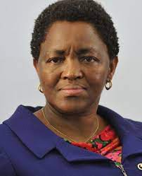 1983 yilda u imbali yoshlar tashkilotining asoschilaridan biriga aylandi birlashgan demokratik frontbilan yaqindan hamkorlik qilgan janubiy afrika talabalari kongressi va imbali fuqarolik tashkiloti. Zimbabwean Parents Approach Court To Have Children Released By Sa Government News24
