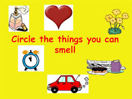 You can smell it, cant you? The 5 Senses Online Presentation