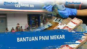 Proses 1 hari, nasabah ulamm bisa dapat pinjaman modal rp 300 juta. Topik Info Stimulus Halaman 3 Indomaret Siantar Top Latih Para Umkm Kabupaten Landak Agar Di Kondisi Pandemi Tetap Eksis Tribun Pontianak