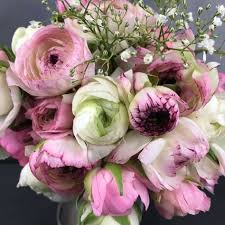 Ein Uberraschungs Geschenk Exotische Blumen Blumen Bilder Saisonale Blumen
