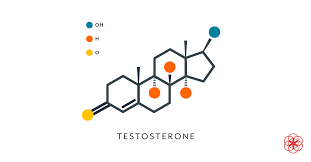 The progestin thickens your mucus because the minipill contains less progestin than the combination birth control pill, the progestin's effect on your cervical mucus lasts for only. Androgen What Is An Androgen Definition Anti Androgens And More
