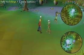 Collect the ten hand mirrors and four crystals from the crystal dispenser. Osrs Roving Elves Runescape Guide Runehq