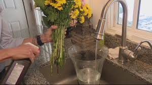 We did not find results for: Make A Bouquet Of Cut Flowers Last Longer