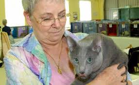 These cats are born to model