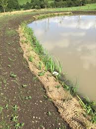 Skip to main content of page. Preplanted Coir Mats Native Aquatic Plants British Pond Plants