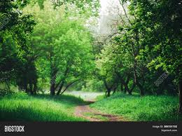 Download scenic landscape stock photos. Scenic Landscape Image Photo Free Trial Bigstock
