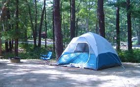 Check back for updates or contact the park for more information. 31 Budget Friendly Massachusetts Camping Spots Including 29 State Parks From The Berkshires To Cape Cod Masslive Com