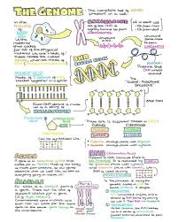 Science is a systematic study of nature and how it affects our lives and the environment. ÙÙØ«ÙØ± ÙØ§Ø±Ø³ On Twitter Biology Notes Science Notes Study Biology