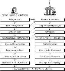 14 unusual difference between lutheran and methodist chart