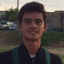 Conner Lynch's High School Bio