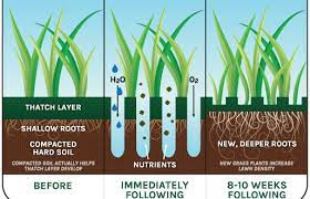 Maybe you would like to learn more about one of these? Aeration Seeding When And Why Fall Lawn Care New Image Lawn And Scapes