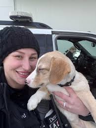 Does your dog escape from the kennel while you're gone?