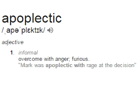 Apoplectic Definition Vocabulary Words Cool Words Words English Phrases