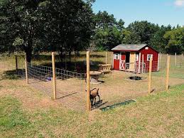 Goat Enclosure Goat House Goat Shelter Goat Barn