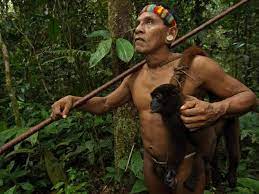 Asian jungle food web. Most watched porno free site pic. Comments: 2