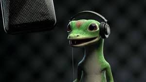 geico gecko ile ilgili gÃ¶rsel sonucu