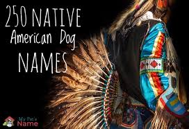 Iroquoian names are not listed within the top 1000. Native American Dog Names 250 Indigenous Names My Pet S Name