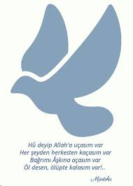 Ucasim Var Sanat Muzik Siir
